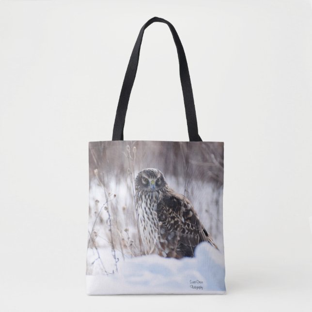 Weibliche Northern Harrier (Vorderseite)