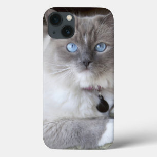 Weibliche Ragdoll-Katze Case-Mate iPhone Hülle