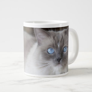 Weibliche Ragdoll-Katze Jumbo-Tasse
