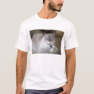 Weibliche Ragdoll-Katze T-Shirt