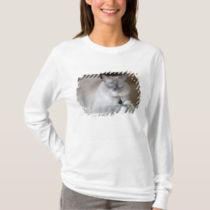 Weibliche Ragdoll-Katze T-Shirt
