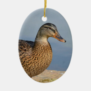 Weibliche Stockenten-Ente Keramikornament