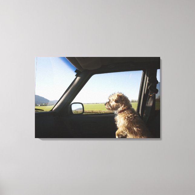 Weibliche Terrier X sitzend, wenn Vordersitz Leinwanddruck (Vorderseite)