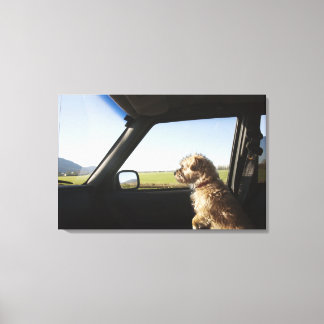 Weibliche Terrier X sitzend, wenn Vordersitz Leinwanddruck