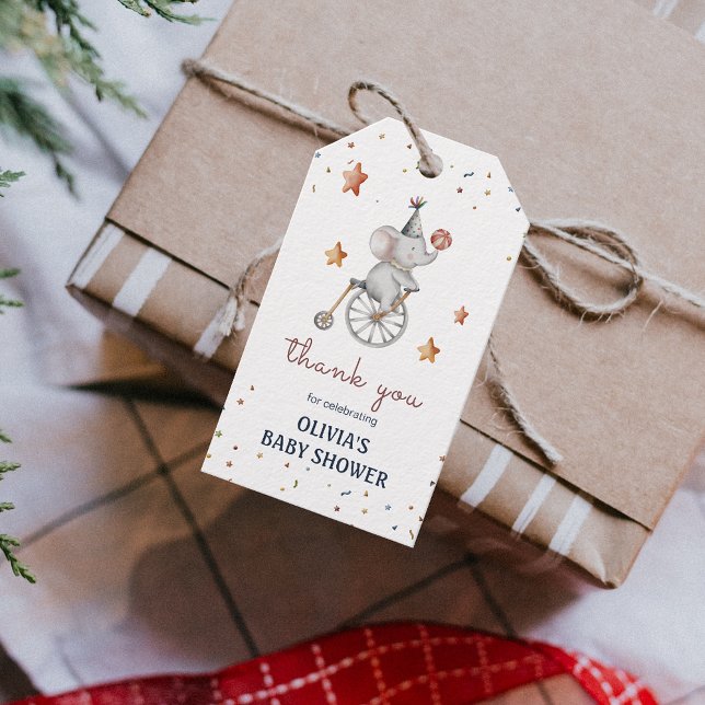 Weibliche Tiere Circus Geburtstagsparty Geschenkma Geschenkanhänger (Whimsical Animals Circus Birthday Party Gift Tag)