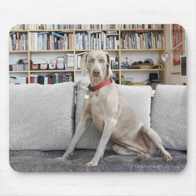 Weibliche Tiere Mousepad (Vorne)