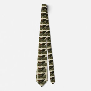 Weibliche wilde Türkei aus Audubons Vögeln in Amer Krawatte