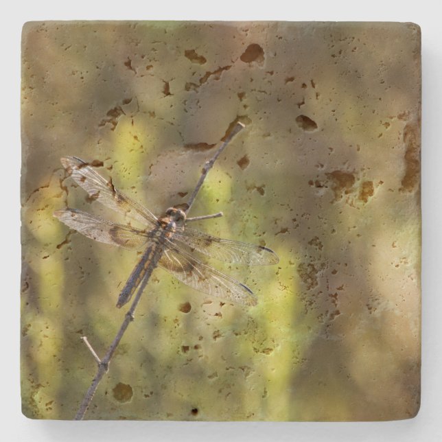 Weibliche Witwe Skimmer Dragonfly Steinuntersetzer (Vorderseite)