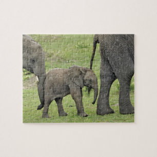 Weiblicher Afrikanischer Elefant mit Baby Puzzle