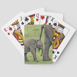 Weiblicher Afrikanischer Elefant mit Baby Spielkarten