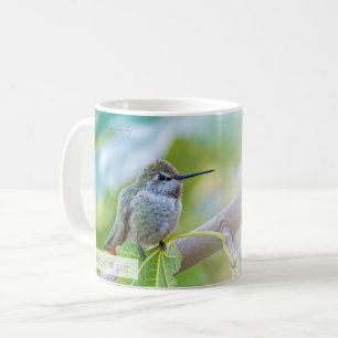 Weiblicher Breitschwanzkolibri Psalm 70:4 KJV Kaffeetasse
