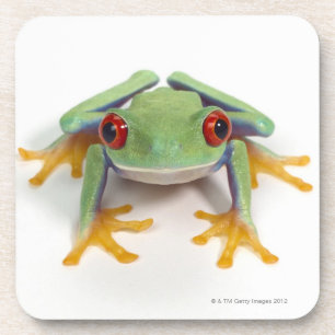 Weiblicher Frosch Getränkeuntersetzer