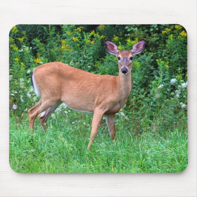 Weiblicher Hirsch Mousepad (Vorne)