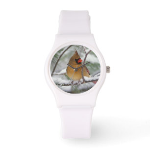 Weiblicher Kardinal im schneebedeckten Kiefernbaum Armbanduhr