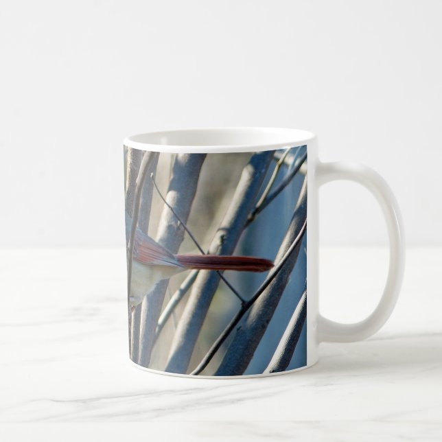 Weiblicher Kardinal Tasse (Rechts)
