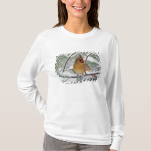 Weiblicher Kardinalkardinal in schneebedecktem Kie T-Shirt