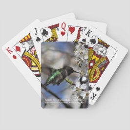 Weiblicher karminroter Throated Kolibri Spielkarten