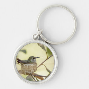 Weiblicher Kolibri auf seinem Nest Schlüsselanhänger