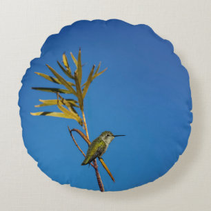 Weiblicher Kolibri Rundes Kissen