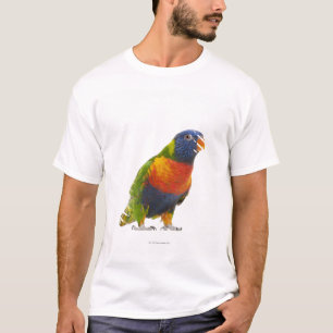 Weiblicher Regenbogen Lorikeet - Trichoglossus T-Shirt