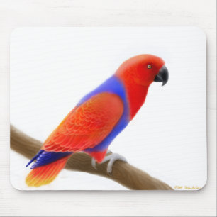 Weiblicher roter Eclectus Papagei Mousepad
