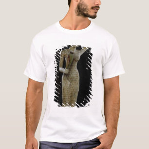 Weiblicher Träger der Angebote, die ein Wasser T-Shirt