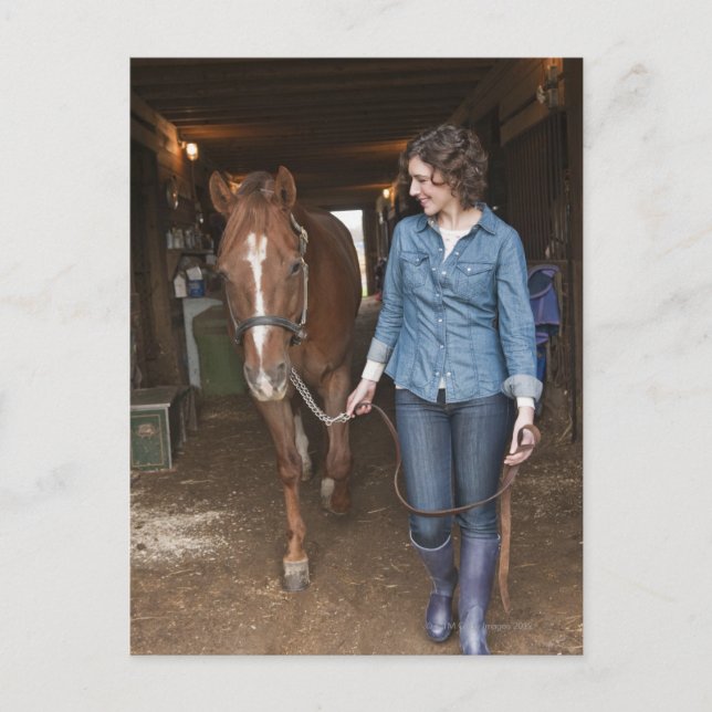 weibliches Führungspferd Postkarte (Vorderseite)