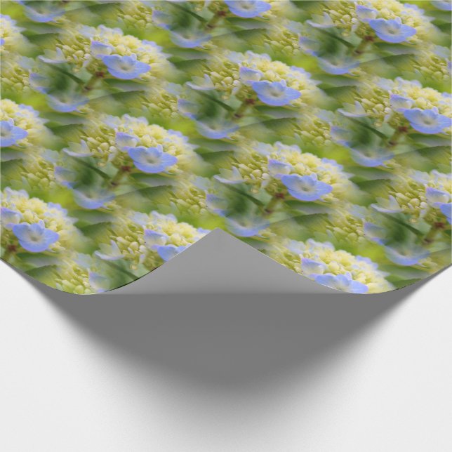 Weich blauer Hydrangea Blume Muster Natur Geschenkpapier (Ecke)