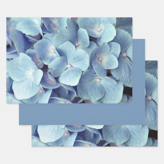 Weich blaues Hydrangea-Muster Geschenkpapier Set (Set)
