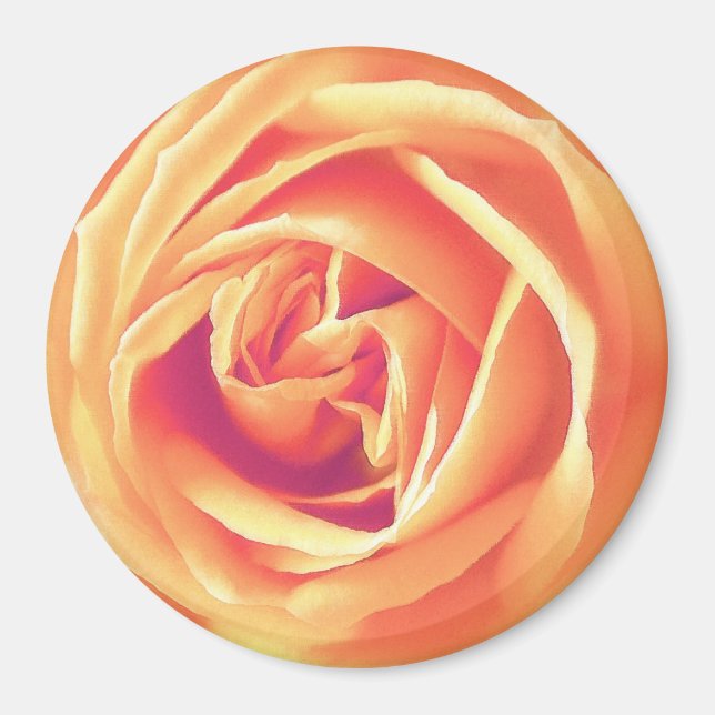 Weich orange Rose Magnet (Vorne)