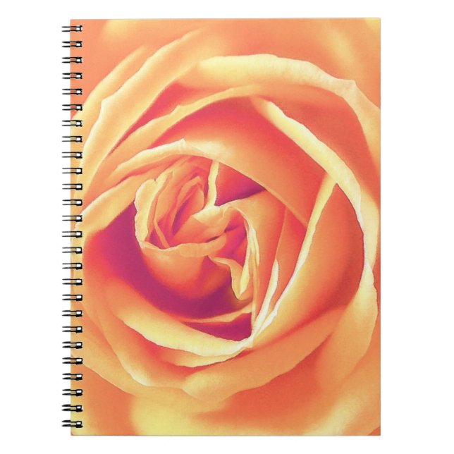Weich orange Rose Notizblock (Vorderseite)