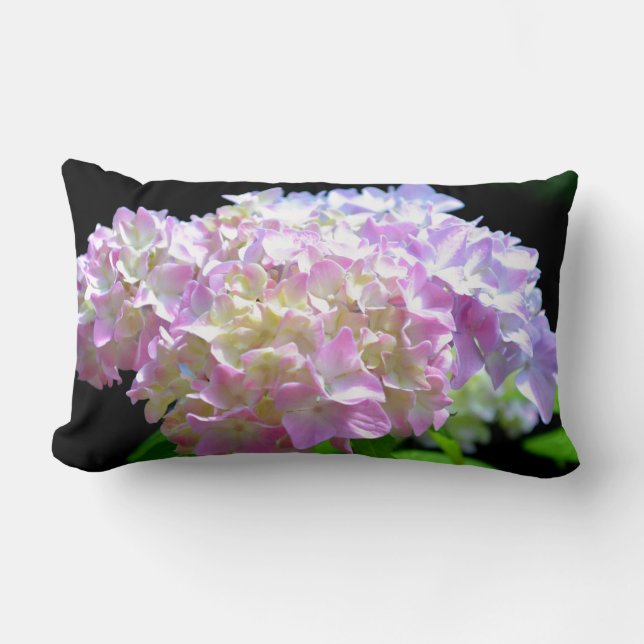 Weich-rosa-gelbe lila Hydrangeas-Blume Lendenkissen (Vorderseite)