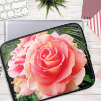 Weich rosa Rosa Blume nah-up Foto modern kühl