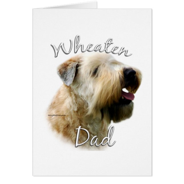 Weich überzogener Wheaten Terrier Vater 2 (Vorne)