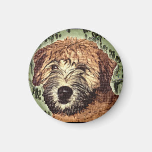 Weich-Überzogener Wheaten Terrier-Welpe mit nasse Magnet