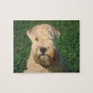 Weich überzogenes Wheaten Terrier-Hundepuzzlespiel Puzzle