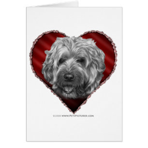 Weich-Überzogenes Wheaten Terrier mit Herzen