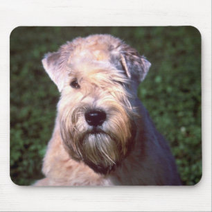 Weich-überzogenes Wheaten Terrier Mousepad