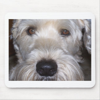 Weich überzogenes Wheaten Terrier Mousepad