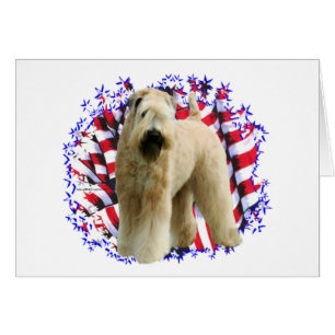 Weich überzogenes Wheaten Terrier Patriot