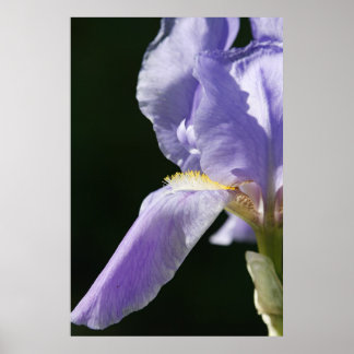 weich und zart poster