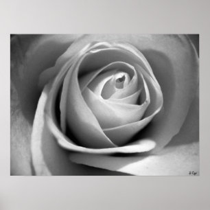 Weich Weiß, S Cyr Poster