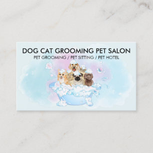 Weiche Blaue Wasserhunde Katzen Friseur Termin Visitenkarte