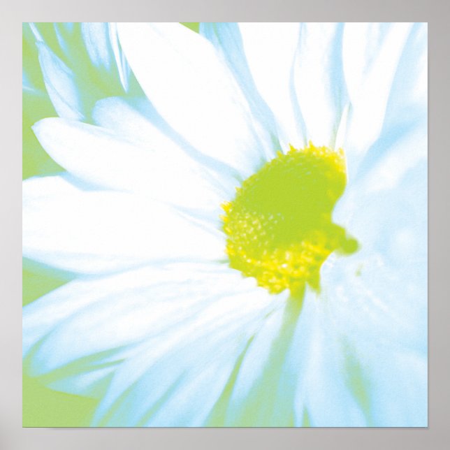 Weiche Blume Poster (Vorne)