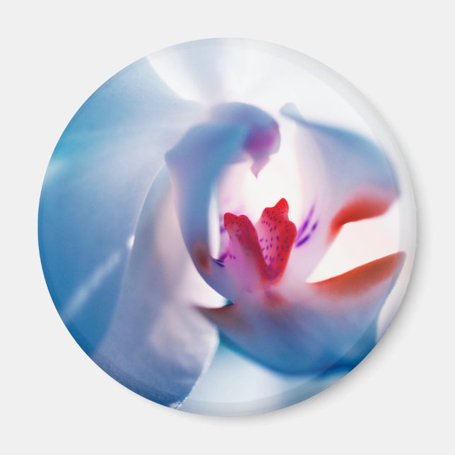 Weiche Farben Orchid Print Magnet (Vorne)