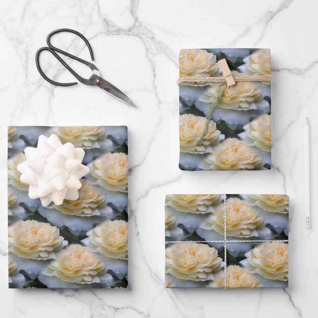 Weiche Gelbröse-Blume-Muster   Geschenkpapier Set (Vorderseite)