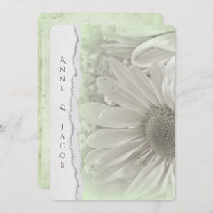 weiche, grüne Farbe mit abgerissener Papierkante Einladung