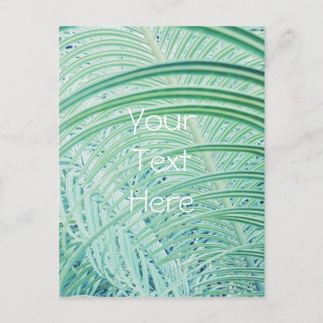 Weiche grüne Pflanze Palmblättrig Postkarte (Vorderseite)