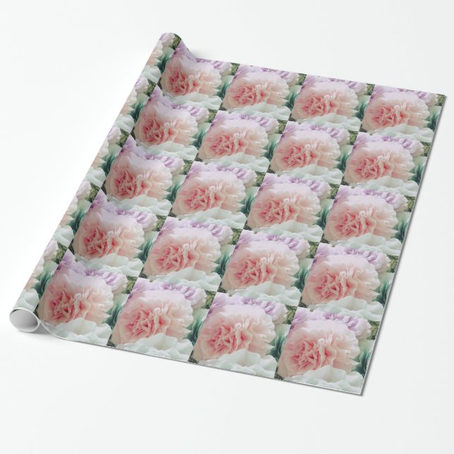 Weiche Kaffeefilterblumen Geschenkpapier (Ungerollt)