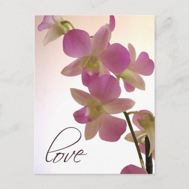 Weiche lila Orchidee Postkarte (Vorderseite)